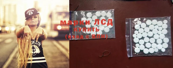гашик Алзамай